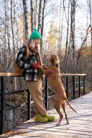 Photo for Woman pet owner enjoying walking standing near fence in nature park holding vizsla dog paws. Female animal friendship dog friend, pet lover pastime leisure together concept. - Royalty Free Image