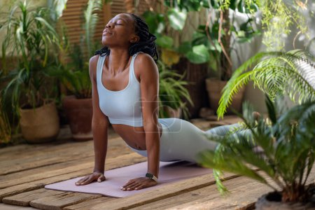 Concentrated african american woman strengthens muscles with snake pose in yoga time on sports mat in room with houseplants. Satisfied black female trying relax with stretching, developing flexibility