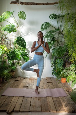 Téléchargez les photos : Femme noire concentrée méditant dans la pose de l'arbre de yoga se tenir sur une jambe, les yeux fermés, jardin à la maison avec Monstera, trouver la tranquillité et le calme intérieur. Africaine pratiquant le vrikshasana. Pleine conscience. - en image libre de droit