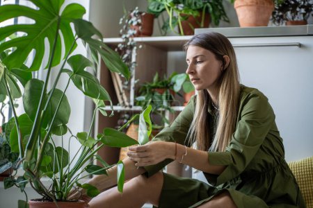 Calm relaxed woman plant lover taking care about houseplants. Interested middle aged female have indoor plant hobby with green indoor plant monstera examines touching leaves sitting on floor at home.