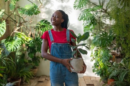 Heureuse femme afro-américaine joyeuse tient ficus plante d'intérieur en pot profiter du résultat de croissance entourée de plantes tropicales d'intérieur dans le jardin de la maison. Plaisir noir jeune amant des plantes femelles souriant dans la boutique florale