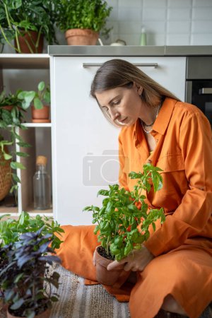 Téléchargez les photos : Femme intéressée concentrée tenant un pot de basilic cultivé à la maison, s'occupant des semis de plantes d'intérieur. Calme détendue femelle assise sur le sol, en prenant soin de jardin d'herbes à la maison sur le rebord de la fenêtre. Amoureux des plantes à la maison. - en image libre de droit