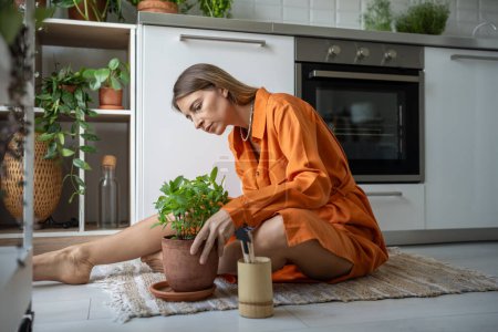 Femme concentrée prend soin des plantes d'intérieur au sol de la maison. Le passe-temps mesuré apporte le calme. Les amateurs de plantes prêtent attention aux plantes, à l'arrosage, à la fertilisation, à la taille, au maintien des conditions de croissance des semis