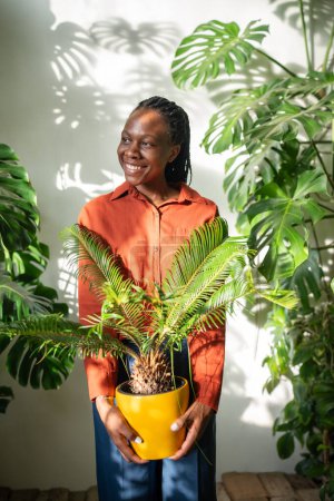 Téléchargez les photos : Heureux jardinier afro-américain tenant plante d'intérieur Cycas en pot jaune souriant regardant de côté fenêtre dans la journée ensoleillée. Joyeux amant noir femelle plante heureux résultat par la croissance des plantes tropicales d'intérieur. - en image libre de droit