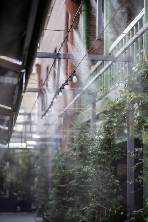 Foto de Aire acondicionado y sistema de pulverización de agua para enfriamiento y niebla. Sistema de nebulización para terrazas de café al aire libre. Humedecer, enfriar y limpiar el aire del polvo en el día caluroso. Humidificación del aire para plantas en verano - Imagen libre de derechos