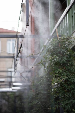 Photo for Fogging outdoor cool misting system working hot summer day for terrace in cafe. Facility that lowers temperature by spraying fine mist. Air conditioning and water spray system for cooling and fog. - Royalty Free Image