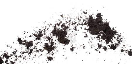 Téléchargez les photos : Fertiliser le sol noir prêt à être planté, de bons sols organiques avec des racines pour l'agriculture de jardin, de fins détails de sol jettent mouche dans l'air avec de la poussière sale. Plan de gel à grande vitesse sur fond blanc Isolé. - en image libre de droit