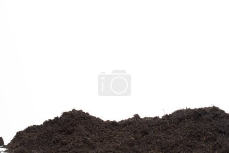 Photo for Black Fertilize Soil ready to planting, good organic soils with root for garden farming, pile set texture detail of soil with roots dust dirty.  close up selective focus over White background Isolated - Royalty Free Image