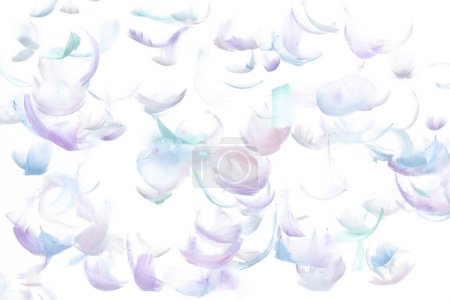 Foto de Muchas plumas de pastel vuelan en el aire sobre fondo blanco aislado. Plumas suaves esponjosas como la pureza suave como paloma flotante del sueño en el cielo. Ángulo volando desde el cielo, movimiento fotográfico - Imagen libre de derechos