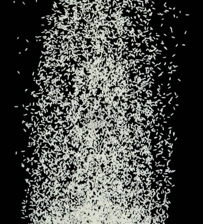 Foto de Explosión voladora de arroz japonés, los arroces de grano blanco explotan la nube abstracta vuela. Hermosa semilla completa salpicadura de arroz en el aire, diseño de objetos alimenticios. Congelación de enfoque selectivo tiro Fondo negro aislado - Imagen libre de derechos