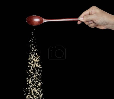 Photo for Brown Sugar fall, brown grain sugar pouring down abstract cloud fly from wooden spoon. Beautiful complete seed sugarcane, food object design. Selective focus freeze shot Black background isolated - Royalty Free Image