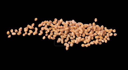 Photo for Peanut flying explosion, brown grain peanuts explode abstract cloud fly. Beautiful complete seed pea peanut splash in air, food object design. Selective focus freeze shot black background isolated - Royalty Free Image