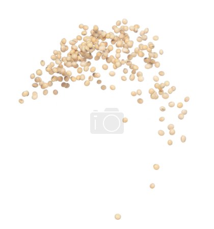 Photo for Soy Bean flying explosion, yellow grain beans explode abstract cloud fly. Beautiful complete seed pea soy bean splash in air, food object design. Selective focus freeze shot white background isolated - Royalty Free Image