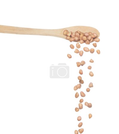 Photo for Peanut fall, brown grain peanuts explode abstract cloud fly from wooden spoon. Beautiful complete seed pea peanuts, food object design. Selective focus freeze shot white background isolated - Royalty Free Image