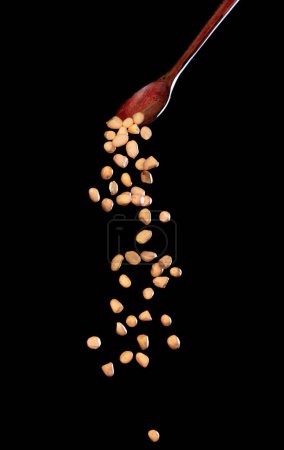 Photo for Peanut fall, brown grain peanuts explode abstract cloud fly from wooden spoon. Beautiful complete seed pea peanuts, food object design. Selective focus freeze shot black background isolated - Royalty Free Image