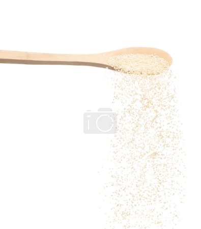 Téléchargez les photos : White Sesame pouring down from wooden spoon, white Sesame grain wave floating, fall in air. Basil seed is organic healthy food. White background Isolated high speed shutter, freeze stop motion - en image libre de droit
