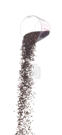 Photo for Riceberry rice pouring down from measure cup, black purple berry grain wave floating, fall down in air. Rice Berry is organic healthy food. White background Isolated high speed shutter, freeze stop - Royalty Free Image