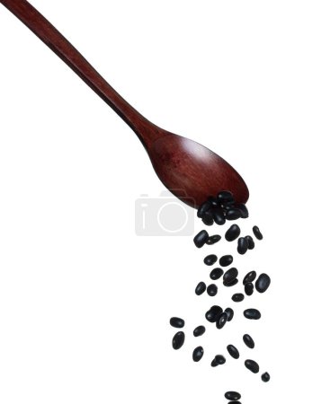 Photo for Black Bean fall, black grain beans explode abstract cloud fly from wooden spoon. Beautiful complete seed pea bean, food object design. Selective focus freeze shot white background isolated - Royalty Free Image