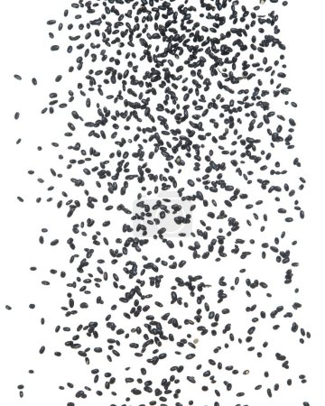 Foto de Frijol Negro volando explosión, frijoles de grano negro explotar mosca nube abstracta. Hermosa semilla completa salpicadura de frijol en el aire, diseño de objetos alimenticios. Congelación de enfoque selectivo plano fondo blanco aislado - Imagen libre de derechos