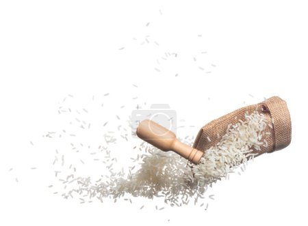 Foto de Japanese Rice in sack bag flying explosion, white grain rices fall abstract fly. Beautiful complete seed rice bag splash in air, food object design. White background isolated, high speed freeze motion - Imagen libre de derechos