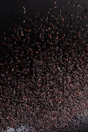 Photo for Riceberry rice pouring down from bag, black purple berry grain wave floating, riceberry fall down in air. Rice Berry is organic healthy food. Black background high speed shutter, freeze stop motion - Royalty Free Image