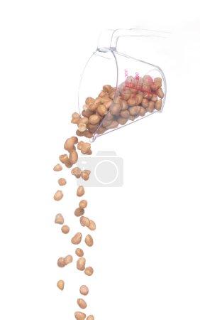 Téléchargez les photos : Peanut fall, brown grain peanuts explode abstract cloud fly from measuring cup. Beautiful complete seed pea peanuts, food object design. Selective focus freeze shot white background isolated - en image libre de droit