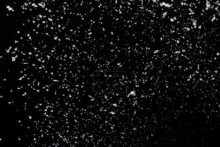 Photo for Photo image of falling down snow, heavy big small size snows. Freeze shot on black background isolated overlay. Fluffy White snowflakes splash cloud in mid air. Real Snow high speed shutter - Royalty Free Image