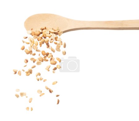 Roasted Peanut bean fall down in wooden spoon, Roasted Peanut bean float explode, abstract cloud fly. Roasted Peanut beans splash throwing in Air. White background Isolated high speed shutter, freeze