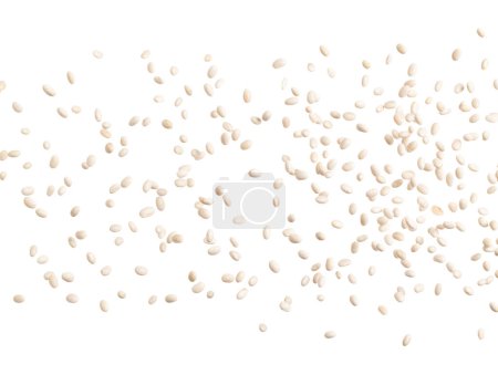 Téléchargez les photos : White bean fall down in group, white bean float explode, abstract cloud fly. Off-white beans splash throwing in Air. White background Isolated high speed shutter, freeze motion - en image libre de droit