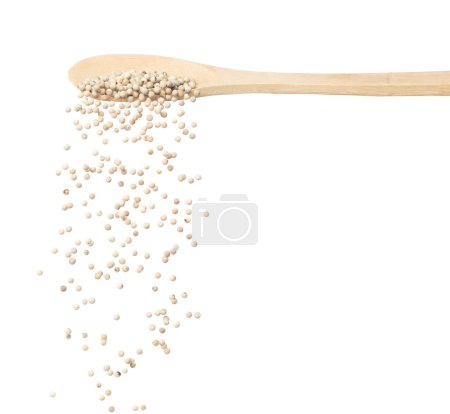 Téléchargez les photos : White Pepper seeds fall down pour in wooden spoon, white Pepper float explode, abstract cloud fly. Peppercorn splash throwing in Air. White background Isolated high speed shutter, freeze motion - en image libre de droit