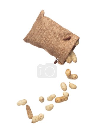 Photo for Boiled peanut fly explosion, boiled peanut bean fall down pour in sac bag. Tropical boiled peanut throw in air. White background Isolated high speed shutter, freeze action - Royalty Free Image