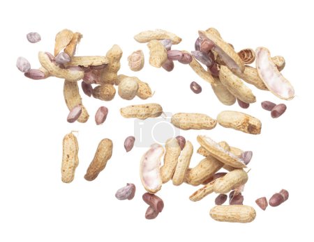 Foto de Boiled peanut fly explosion, boiled peanut bean fall down pour mix inside peel off. Tropical boiled peanut throw in air. White background Isolated high speed shutter, freeze action - Imagen libre de derechos
