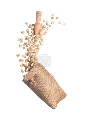 Foto de Soy Bean flying explosion in sack bag, yellow grain beans explode abstract cloud fly. Beautiful complete seed pea soy bean sack bag splash in air, food object design. White background isolated freeze - Imagen libre de derechos