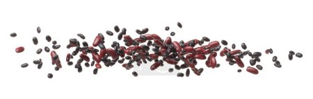 Photo for Mix black red beans fall down explosion, several kind bean float explode, abstract cloud fly. Dried red black mixed beans splash throwing in Air. White background Isolated high speed shutter, freeze - Royalty Free Image
