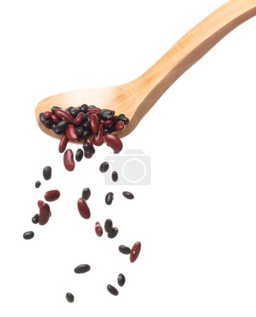 Photo for Mix black red beans fall down explosion, several kind bean float pouring in wooden spoon. Dried red black mixed beans splash throwing in Air. White background Isolated high speed shutter freeze motion - Royalty Free Image