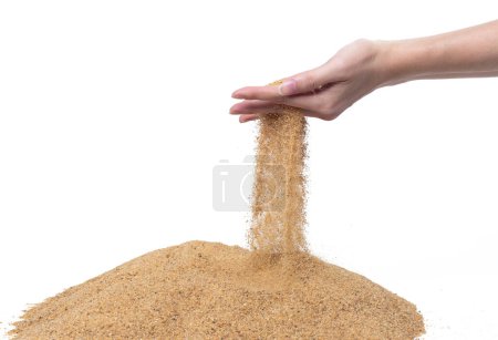 Photo for Hand releasing dropping sand. Fine Sand flowing pouring through fingers against white background. Summer beach holiday vacation and time passing concept. Isolated high speed shutter - Royalty Free Image