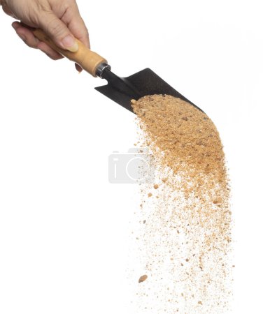 Foto de Big size Sand fall down from shovel, Golden grain sands wave. Abstract cloud fly. Yellow color sand splash throwing in Air. White background Isolated high speed shutter, throwing freeze stop motion - Imagen libre de derechos