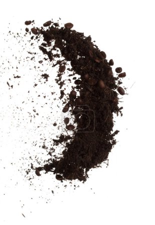 Téléchargez les photos : Fertilizer Coffee bean seed powder mixed soil fly fall, Fertilizer Coffee bean soil for planting float in air. Fertilizer Coffee bean throw in mid air. White background isolated high speed freeze - en image libre de droit