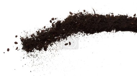 Téléchargez les photos : Fertilizer Coffee bean seed powder mixed soil fly fall, Fertilizer Coffee bean soil for planting float in air. Fertilizer Coffee bean throw in mid air. White background isolated high speed freeze - en image libre de droit