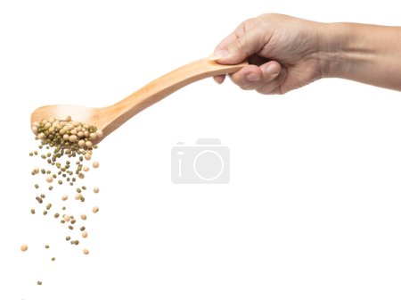 Photo for Mix green mung soy beans fall down explosion, several kind bean float pouring in wooden spoon. Dried soybean green mung mixed beans splash throwing in Air. White background Isolated high speed shutter - Royalty Free Image