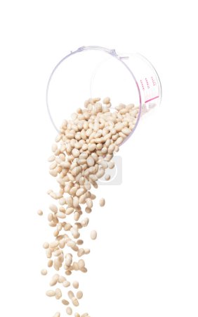Téléchargez les photos : White bean fall down pour from measured cup, white bean float explode, abstract cloud fly. Off-white beans splash throwing in Air. White background Isolated high speed shutter, freeze motion - en image libre de droit