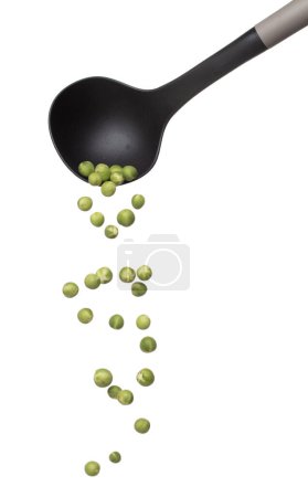Photo for Green Berry Eggplant fly fall in turner, Green Berry Eggplant for planting float in air. Nightshade Berry Eggplant throw in mid air. White background isolated high speed freeze motion - Royalty Free Image
