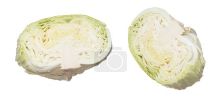 Téléchargez les photos : Cabbage fly in mid air, green fresh vegetable cabbage cut chop half head. Organic fresh vegetable with eaten leaf of cabbage falling, close up texture. White background isolated freeze motion - en image libre de droit