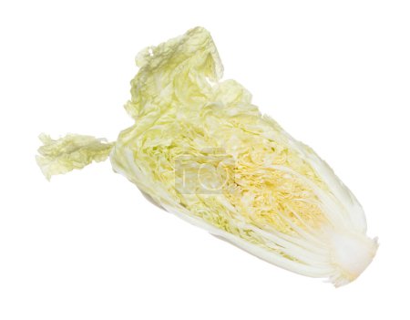 Foto de Chinese Cabbage fly fall in mid air, green fresh vegetable chinese cabbage cut chop slice half. Organic fresh vegetable with eaten leaf of chinese cabbage, close up texture. White background isolated - Imagen libre de derechos
