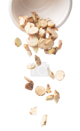 Photo for Galangal fall fly in cup, fresh vegetable spice galangal falling. Organic fresh herbal galangal root head cut chop slice, close up texture. White background isolated freeze motion high speed shutter - Royalty Free Image