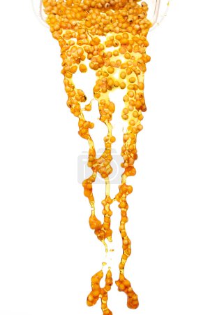 Photo for Yellow Soy Bean in Vegetable Oil pour fall down in Air. Golden Soybean mix with cooking oil pouring from jar, soy bean is healthy diet and food element cooking ingredients. White background isolated - Royalty Free Image