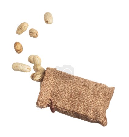 Foto de Boiled peanut fly explosion, boiled peanut bean fall down pour in sac bag. Tropical boiled peanut throw in air. White background Isolated high speed shutter, freeze action - Imagen libre de derechos