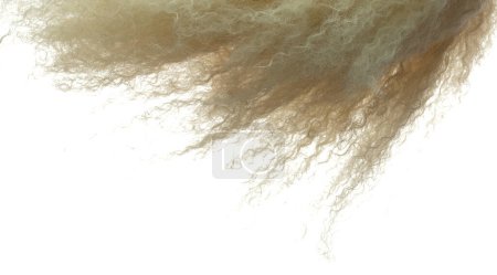 Foto de Afro peluca estilo caída de la mosca explosión. Rubia dorada afro mujer peluca pelo flotar en el aire. Afro peluca pelo extensión viento soplo nube lanzar. Fondo blanco aislado movimiento de congelación de alta velocidad - Imagen libre de derechos