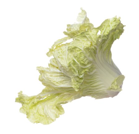 Photo for Chinese Cabbage fly in mid air, green fresh vegetable chinese cabbage falling leaf. Organic fresh vegetable with eaten leaf of chinese cabbage, close up texture. White background isolated freeze - Royalty Free Image
