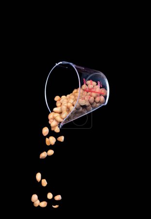 Photo for Peanut fall, brown grain peanuts explode abstract cloud fly from measuring cup. Beautiful complete seed pea peanuts, food object design. Selective focus freeze shot black background isolated - Royalty Free Image